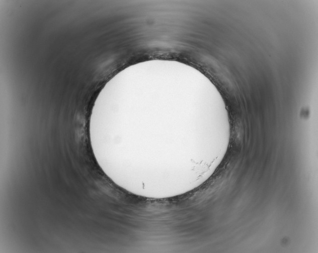 X0000101980964200808151357