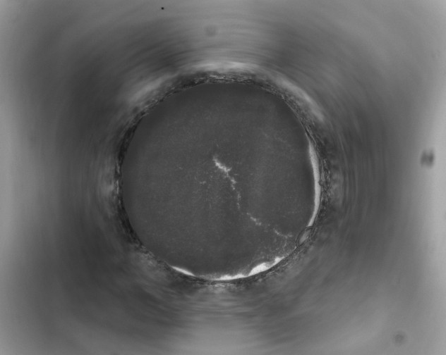 X0000101980966200808151357