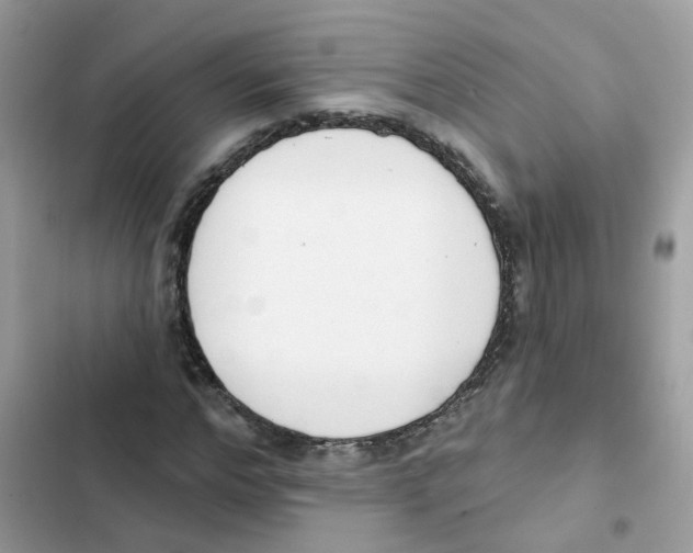 X0000101980968200808151357