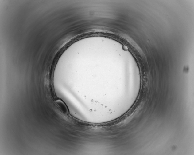 X0000101980969200808151357