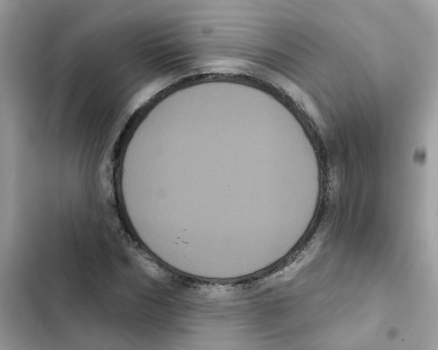 X0000101980970200808151357