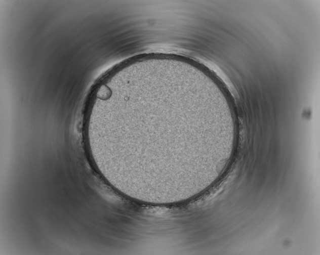 X0000101980971200808151357