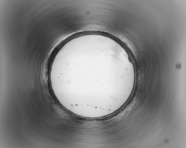 X0000101980973200808151357