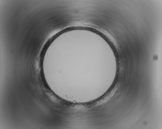 X0000101980974200808151357