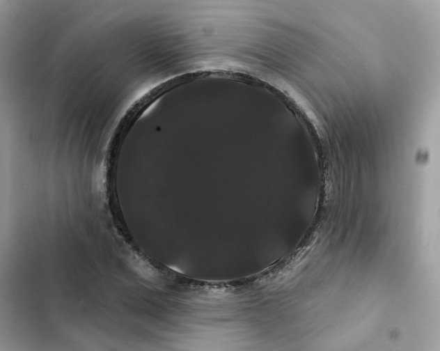 X0000101980975200808151357