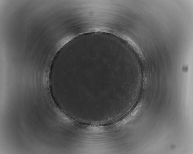 X0000101980977200808151357