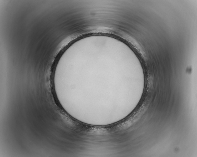 X0000101980978200808151357