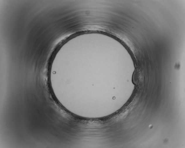 X0000101980979200808151357