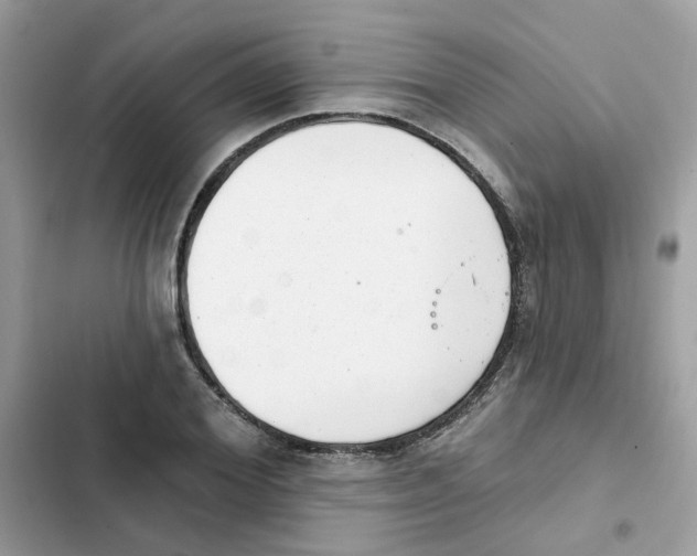 X0000101980980200808151357