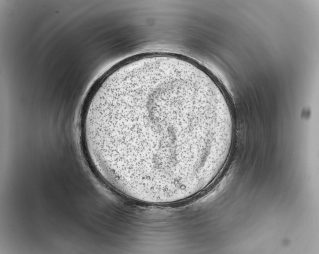 X0000101980981200808151357