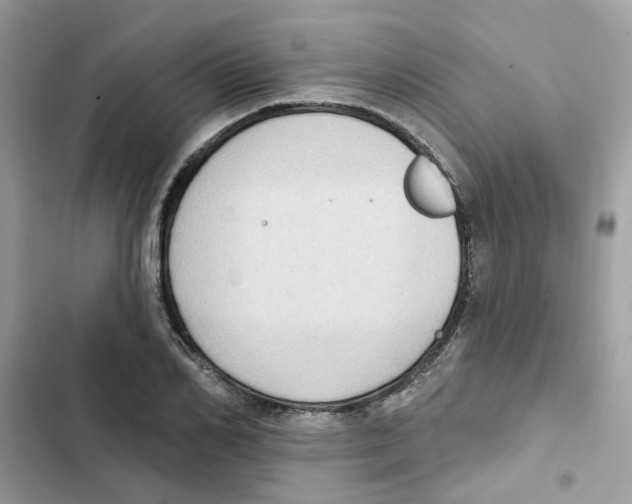 X0000101980982200808151357