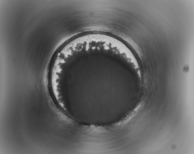 X0000101980983200808151357