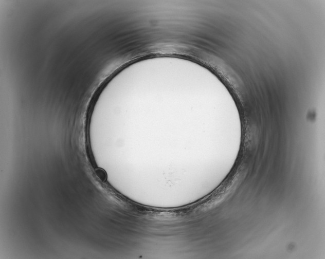 X0000101980986200808151357