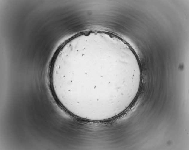 X0000101980987200808151357