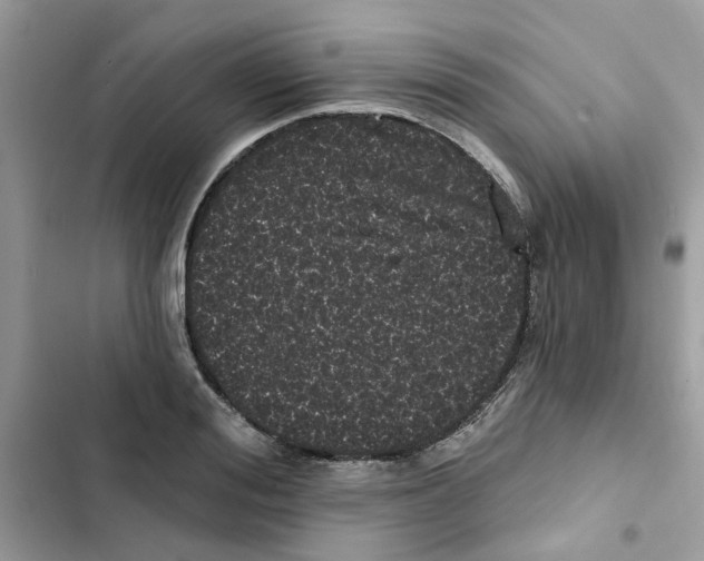 X0000101980988200808151357