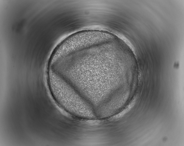 X0000101980989200808151357