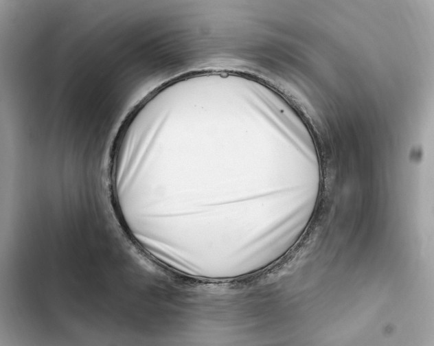 X0000101980990200808151357