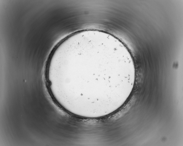 X0000101980991200808151357