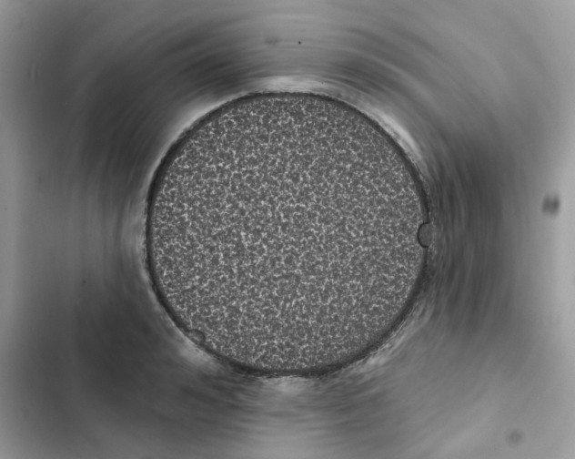 X0000101980992200808151357