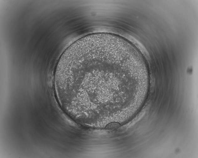 X0000101980993200808151357