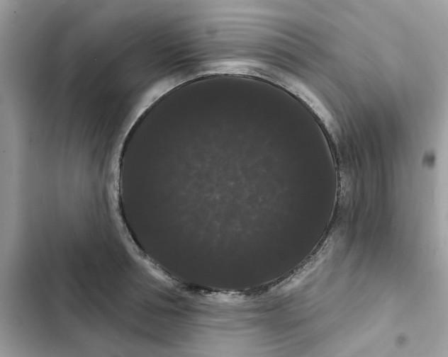 X0000101980994200808151357