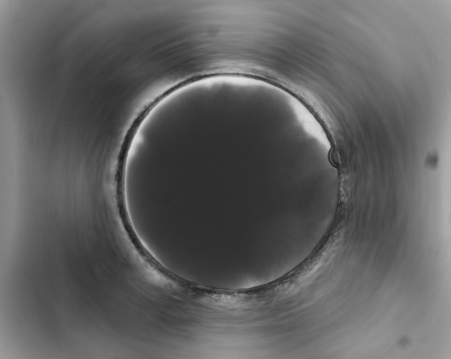 X0000101980995200808151357