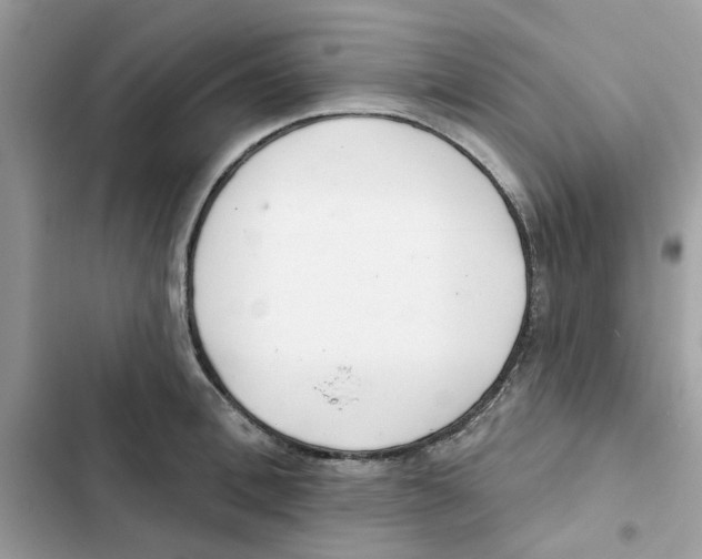 X0000101980996200808151357