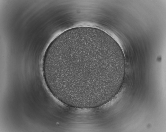 X0000101980997200808151357