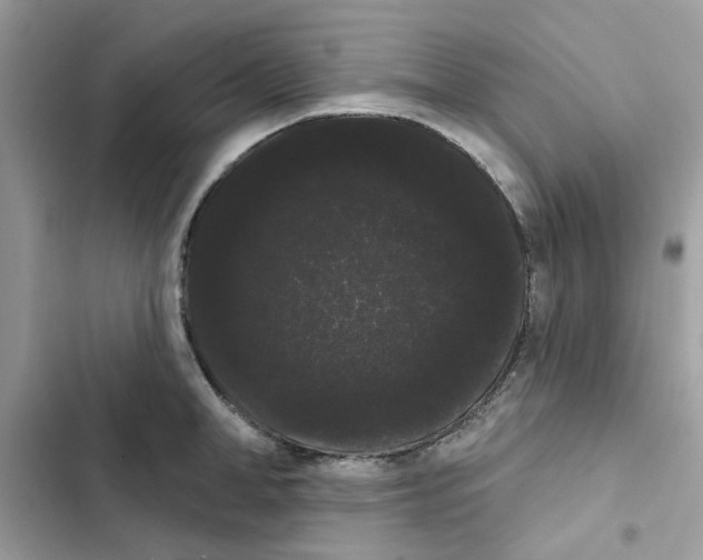 X0000101980998200808151357