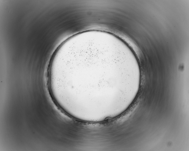 X0000101980999200808151357