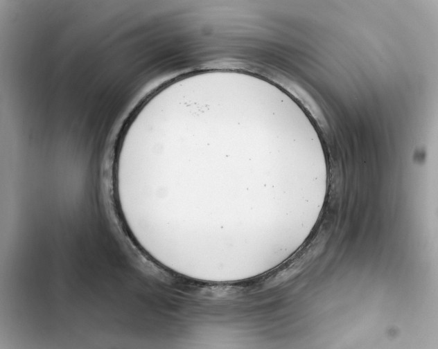 X0000101981000200808151357