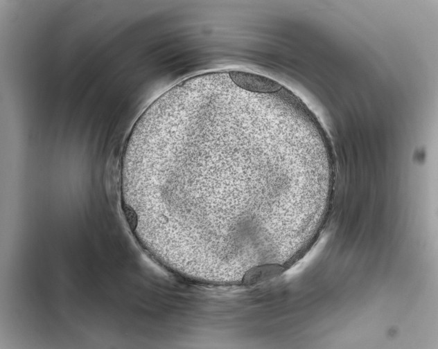 X0000101981001200808151357