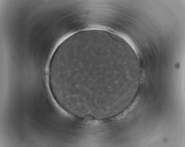 X0000101981003200808151357