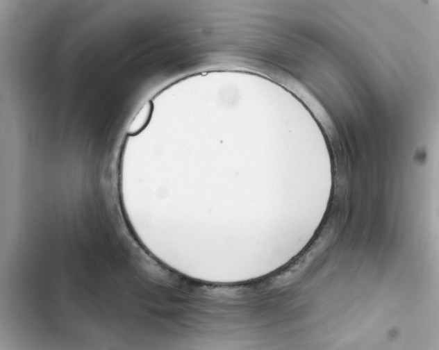 X0000101981004200808151357