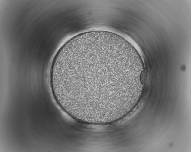 X0000101981005200808151357