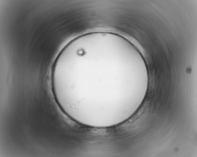 X0000101981006200808151357