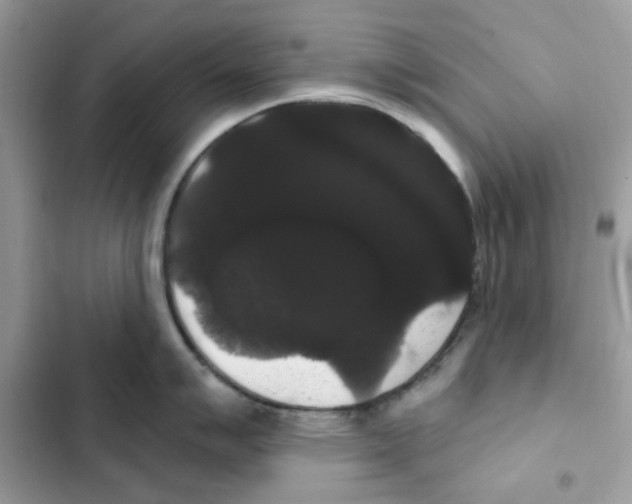 X0000101981007200808151357