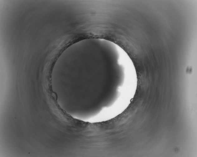 X0000101981009200808151356