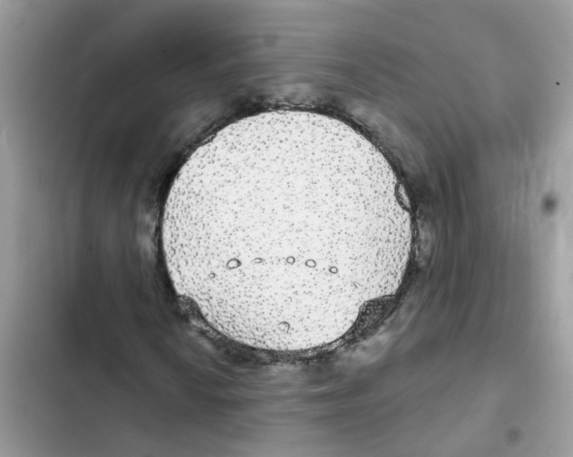 X0000101981010200808151356