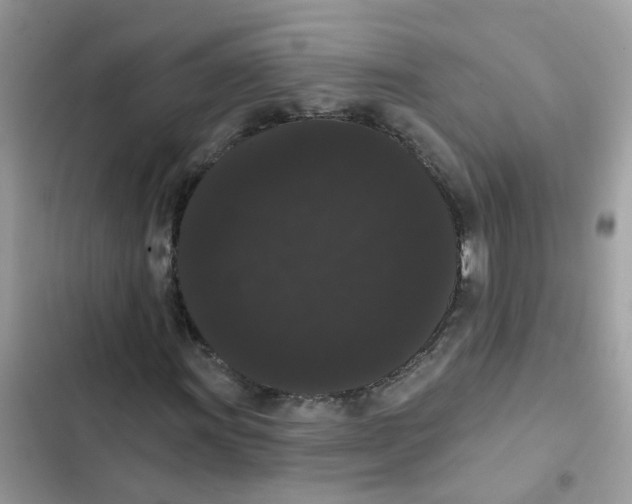 X0000101981011200808151356