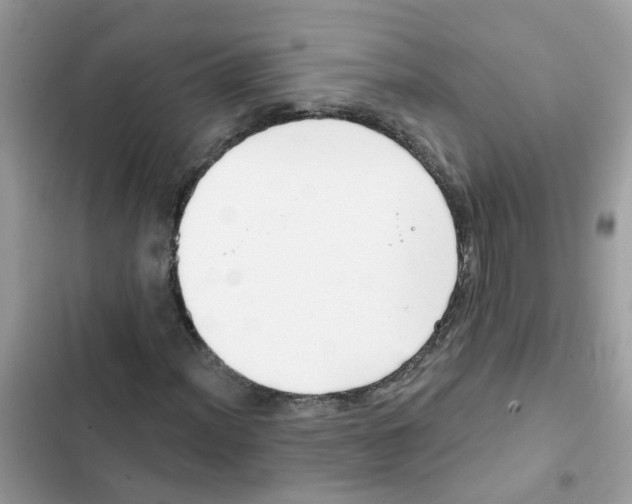 X0000101981012200808151356