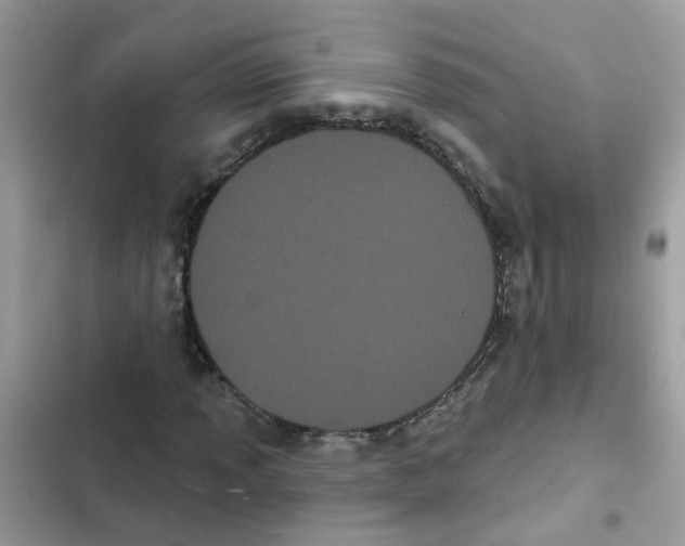 X0000101981013200808151356