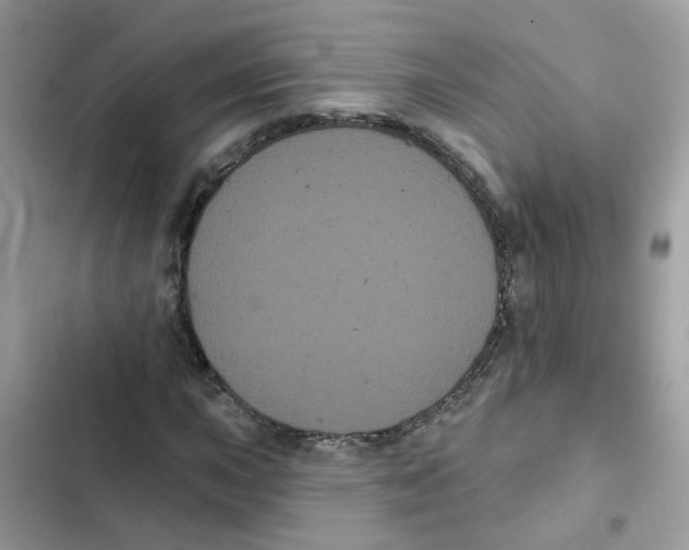 X0000101981015200808151356