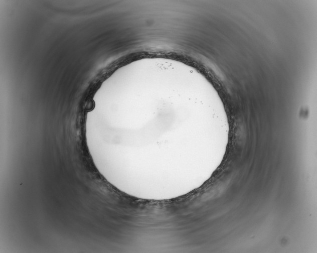 X0000101981016200808151356