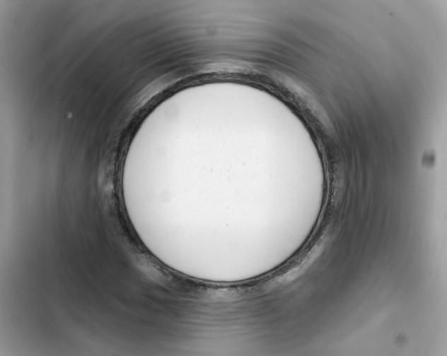 X0000101981017200808151356