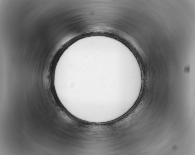 X0000101981018200808151356