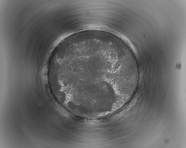 X0000101981019200808151356