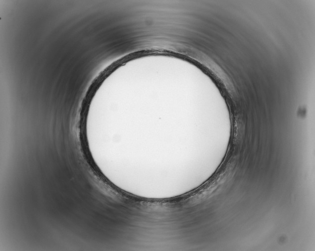 X0000101981020200808151356