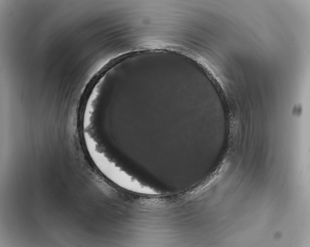 X0000101981023200808151356