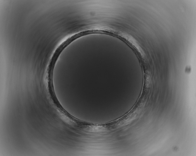 X0000101981024200808151356